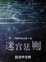 迷宫法则游戏