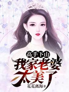 高手下山讨老婆