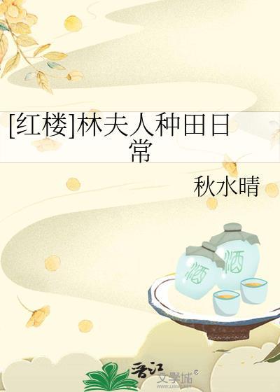 红楼佛系林夫人书包