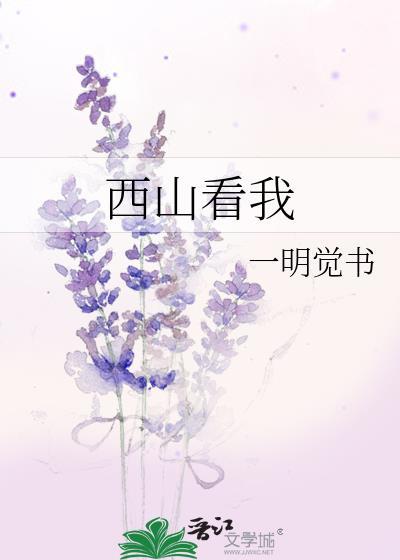 西山看我txt百度