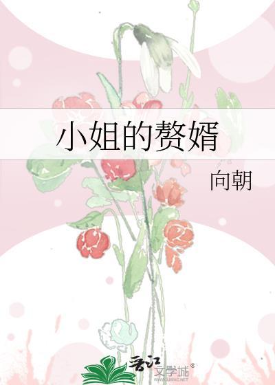 赘婿 小姐