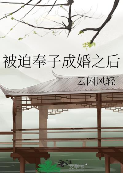 被迫奉子成婚之后无弹窗