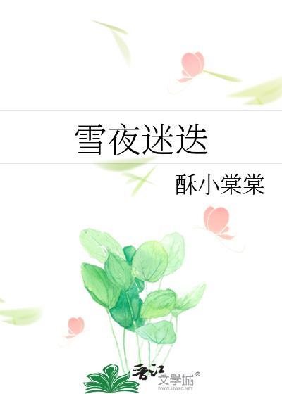 雪夜迷迭免费
