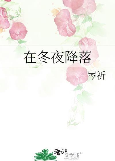 在冬夜降落全文免费阅读