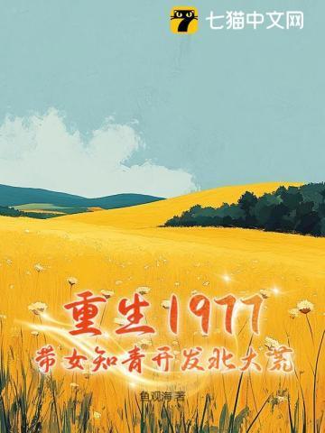 重生知青七零年代